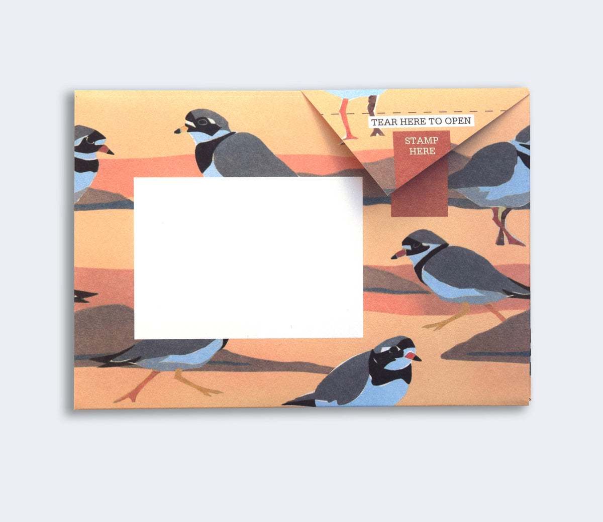 Folded Pigeon letter with ringed plover design third variant on light blue